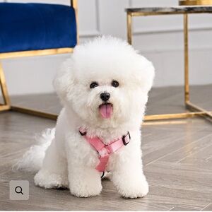 Juicy Couture Hot Pink Rhinestone Crown Dog Harness & Leash Set XS - NEW